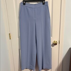 Banana Republic Light Blue Wide-Leg Pull-On Pants